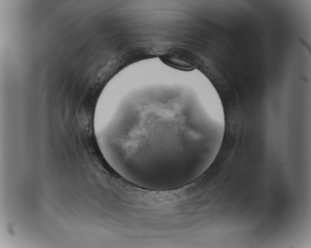 X0000100900031200807221002