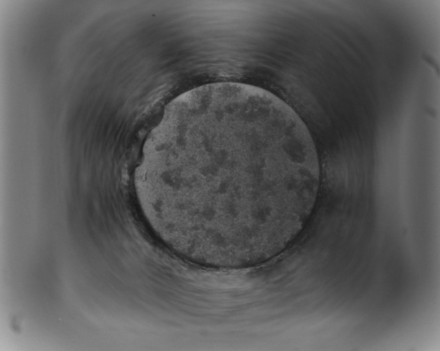 X0000100900032200807221002