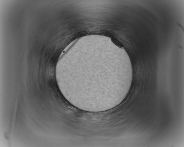 X0000100900033200807221002