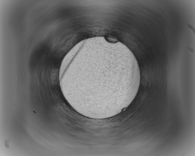 X0000100900034200807221002