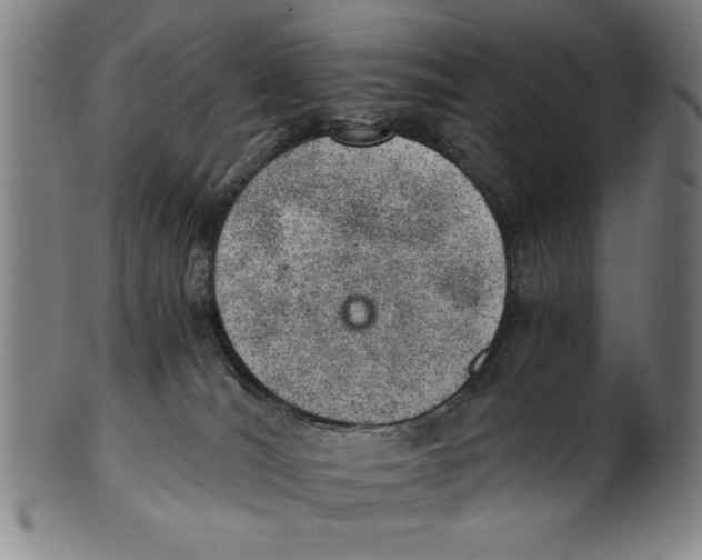 X0000100900036200807221002