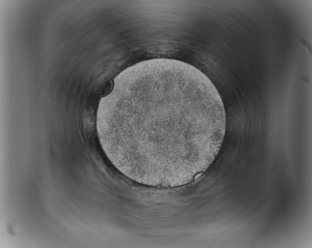 X0000100900040200807221002