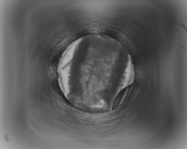 X0000100900043200807221002