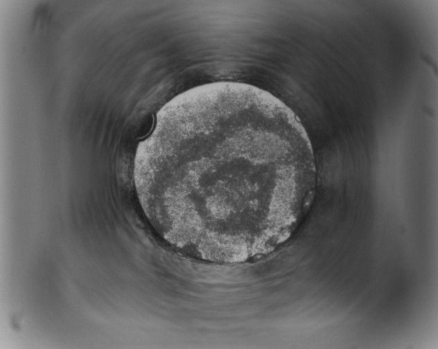 X0000100900044200807221002