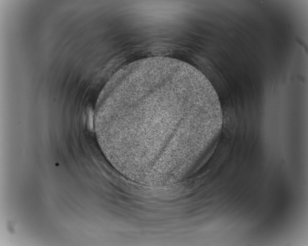 X0000100900046200807221002