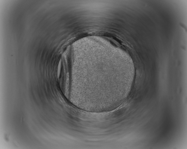 X0000100900048200807221002