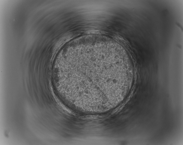 X0000100900049200807221001