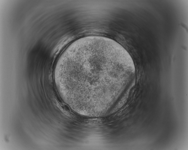 X0000100900050200807221001