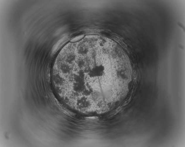 X0000100900053200807221001