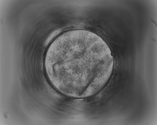 X0000100900054200807221001