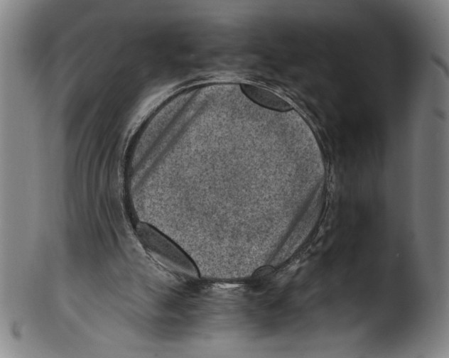 X0000100900055200807221001