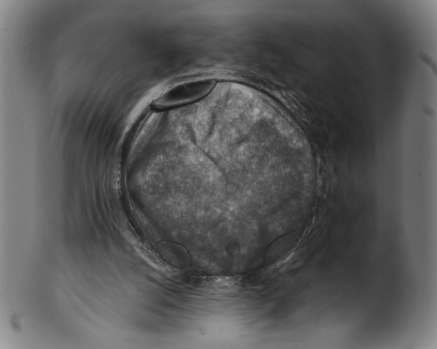 X0000100900056200807221001