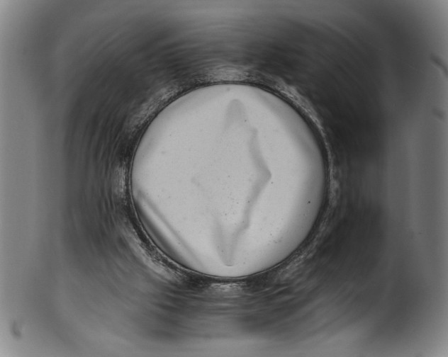 X0000100900057200807221001