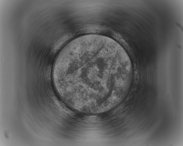 X0000100900058200807221001