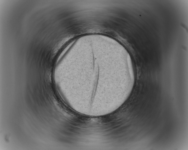 X0000100900060200807221001