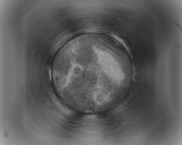 X0000100900061200807221001