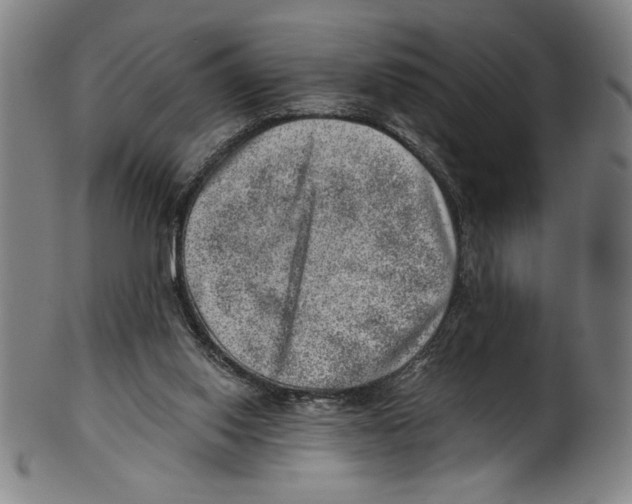 X0000100900062200807221001