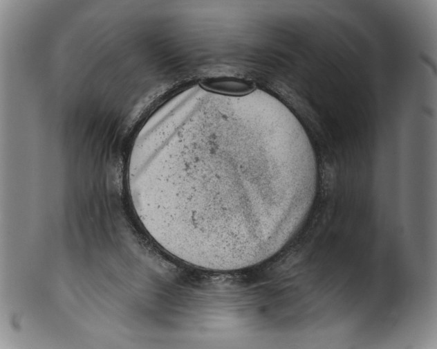 X0000100900064200807221001