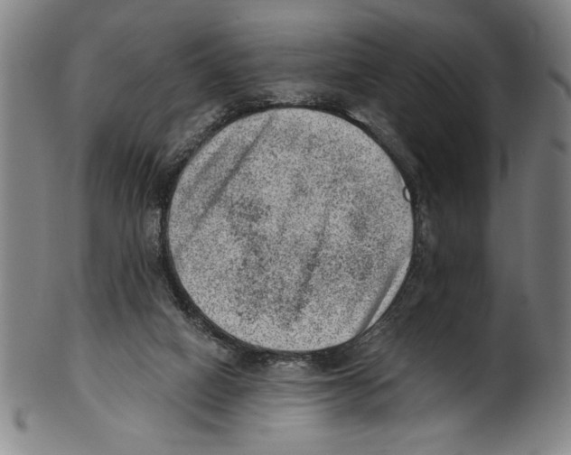 X0000100900066200807221001