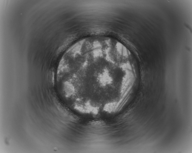 X0000100900067200807221001