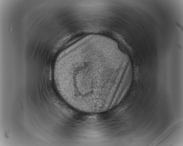 X0000100900068200807221001