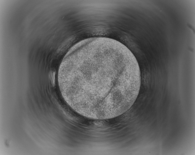 X0000100900070200807221001