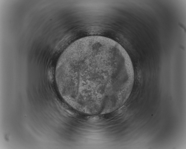 X0000100900074200807221001