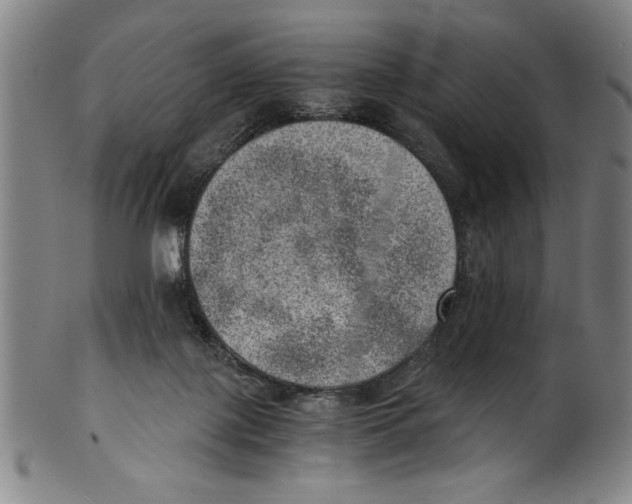 X0000100900075200807221001