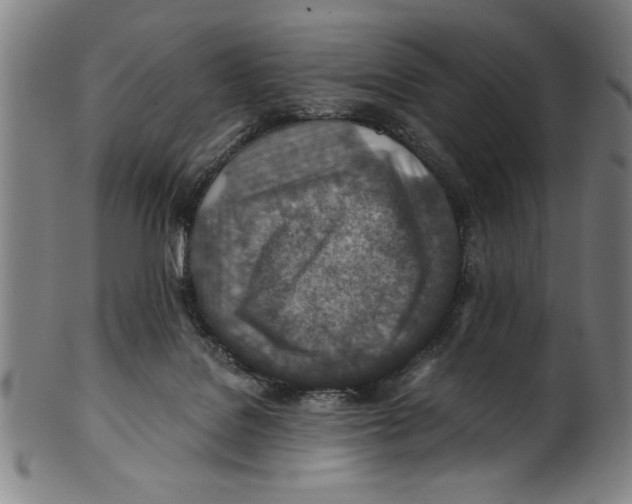 X0000100900076200807221001