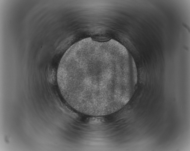 X0000100900077200807221001