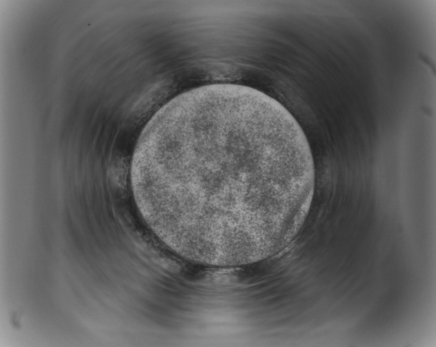 X0000100900078200807221001