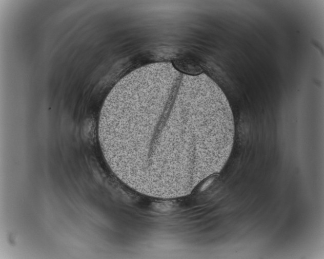 X0000100900079200807221001