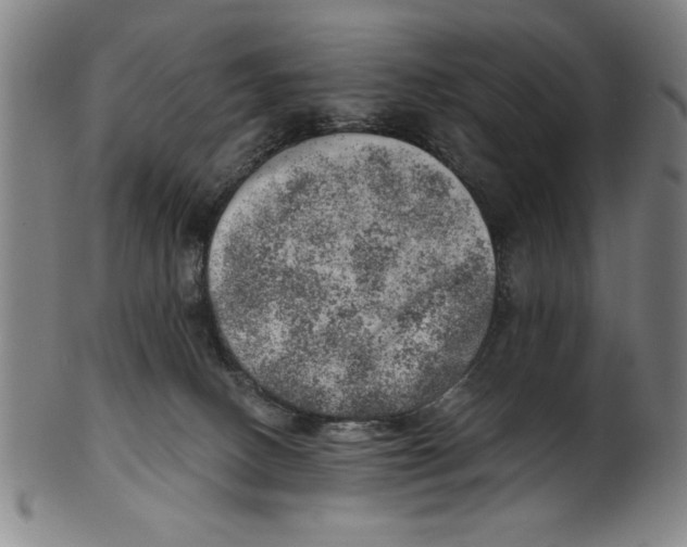 X0000100900082200807221001