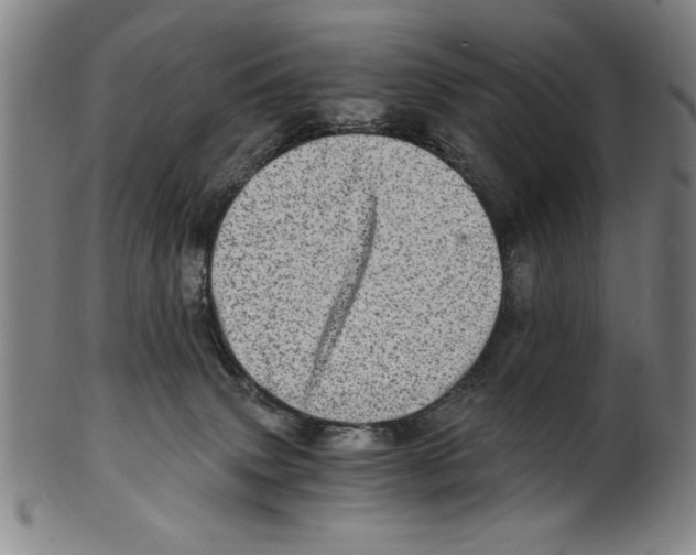 X0000100900083200807221001