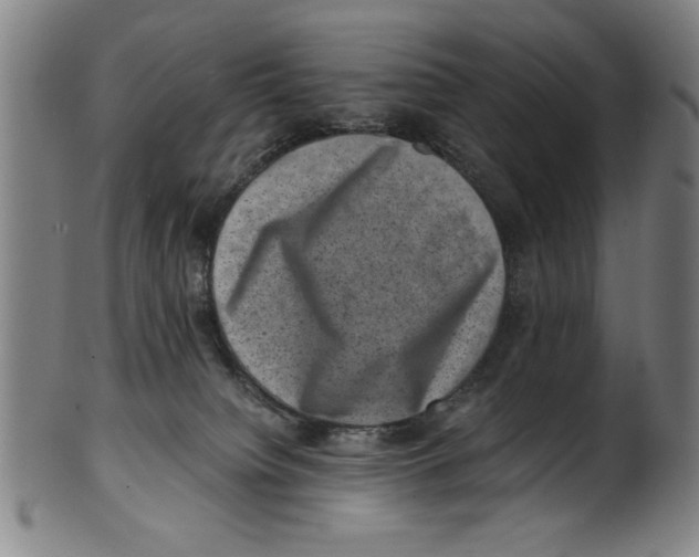 X0000100900084200807221001