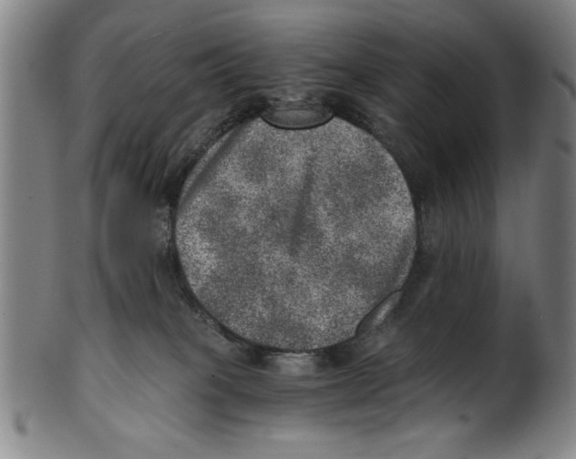 X0000100900085200807221001