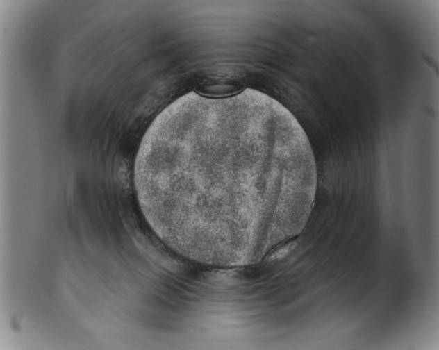 X0000100900086200807221002