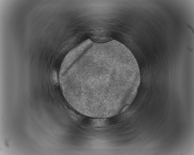 X0000100900089200807221002