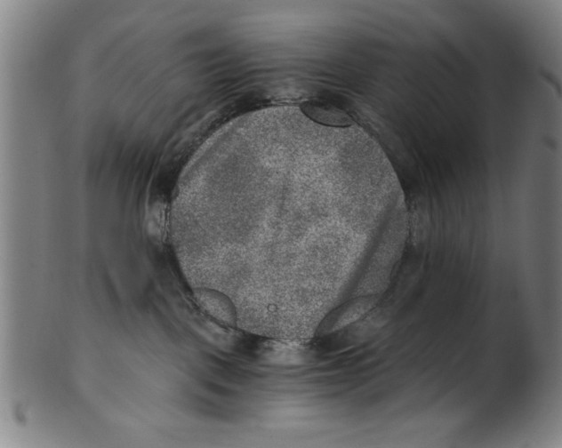 X0000100900093200807221002