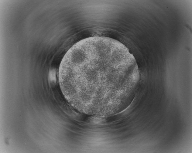 X0000100900094200807221002