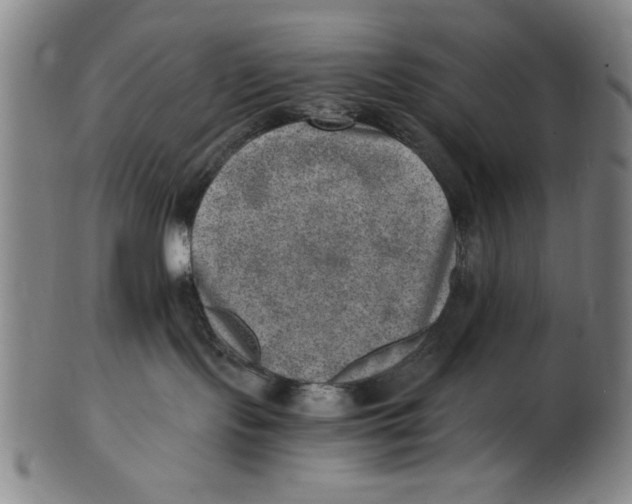 X0000100900095200807221002