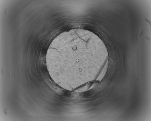 X0000100900096200807221002