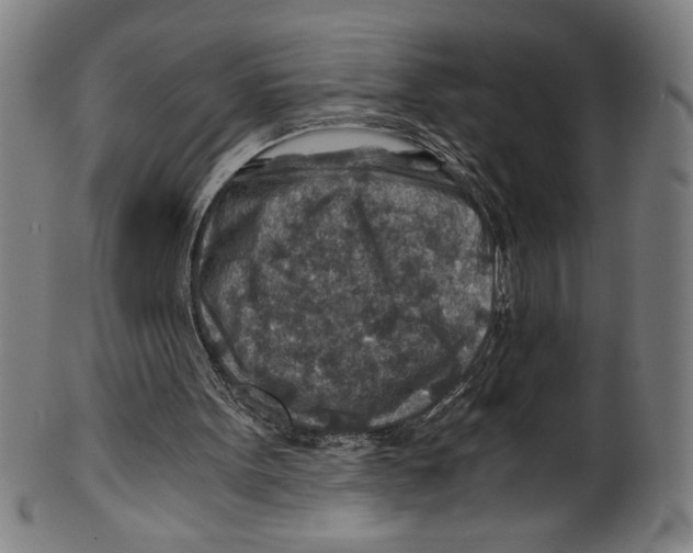 X0000100900099200807221001