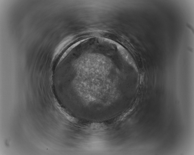 X0000100900101200807221001