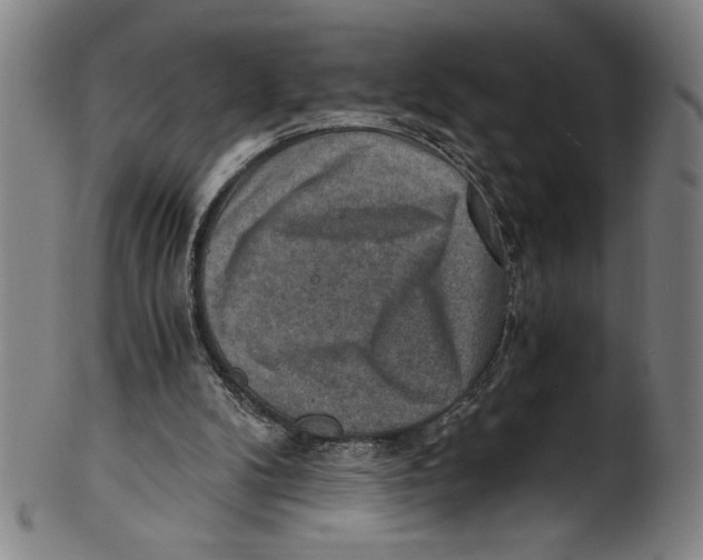 X0000100900104200807221001