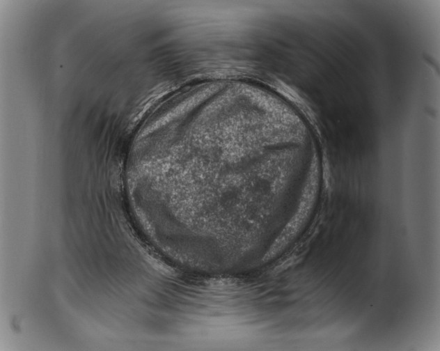 X0000100900105200807221001