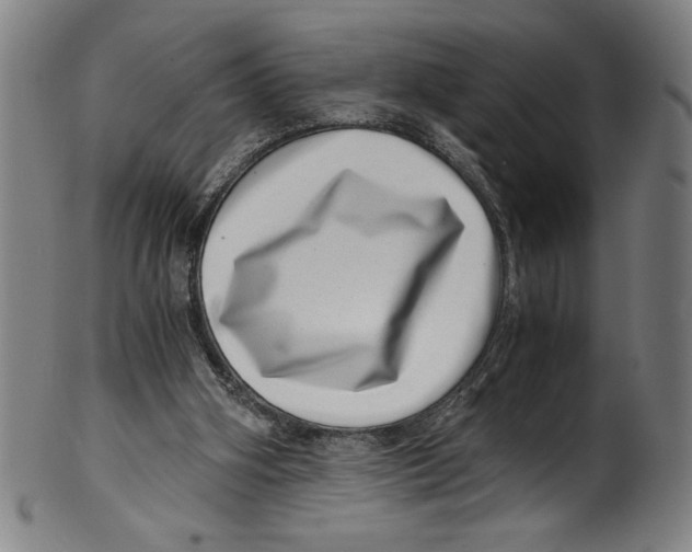 X0000100900106200807221001