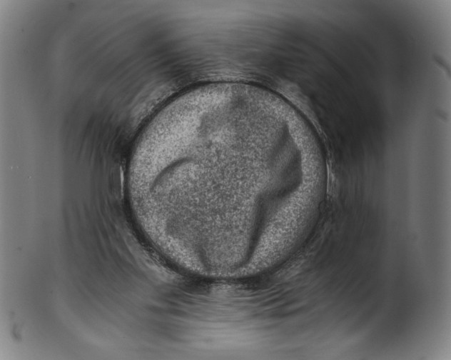 X0000100900109200807221001