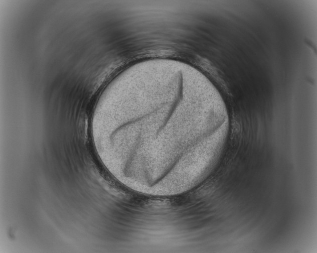 X0000100900110200807221001