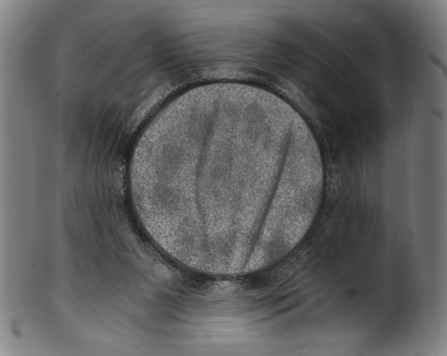 X0000100900111200807221001